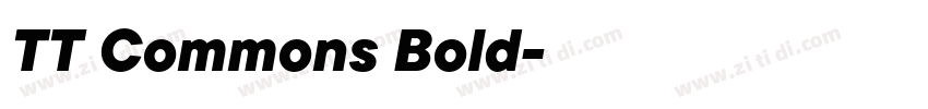 TT Commons Bold字体转换